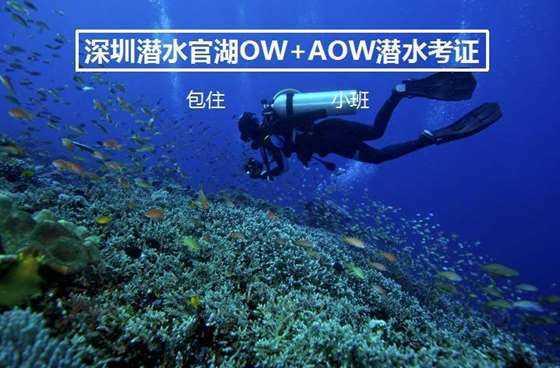 直播预告 | 2月1日上午9点,区十七届人大三次会议开幕